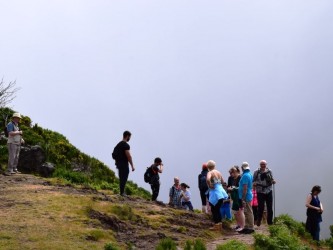 Sky to Sea Walk Combo Forest Mountain and Coast