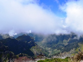 Sky to Sea Walk Combo Forest Mountain and Coast