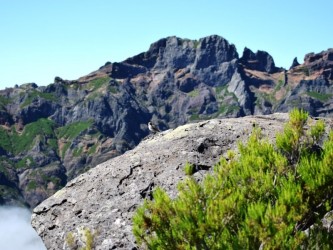 Sky to Sea Walk Combo Forest Mountain and Coast