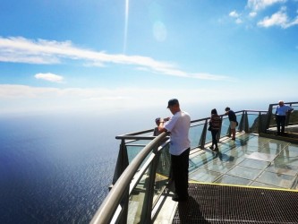 Skywalk & Professional Wine Experience in Madeira