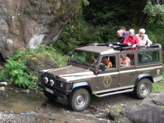 Skywalk & Professional Wine Experience in Madeira