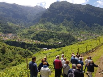 Skywalk & Professional Wine Experience.