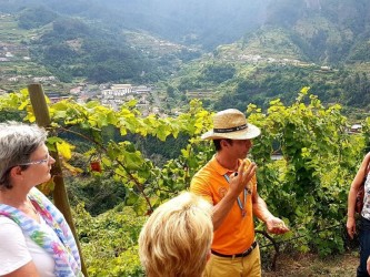 Skywalk & Professional Wine Experience in Madeira