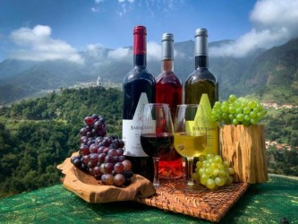 Skywalk & Professional Wine Experience in Madeira