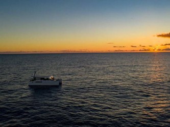 South Coast of Madeira in Solar Catamaran Trip