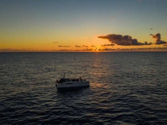 South Coast of Madeira in Solar Catamaran Trip