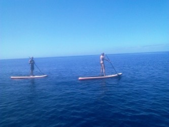 Stand up Paddle SUP Tours in Madeira Island