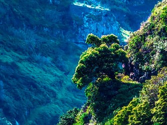 Sugar Route Levada Nova Walk Madeira