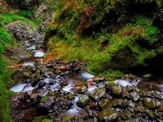 Sugar Route Levada Nova Walk Madeira