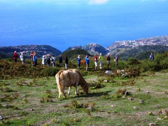 The Best of the South Jeep Tour in Madeira Island