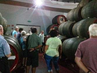 Tinta Negra Wine Tour in Madeira