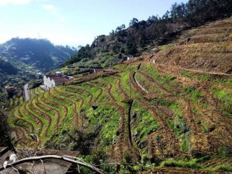 Tinta Negra Wine Tour in Madeira