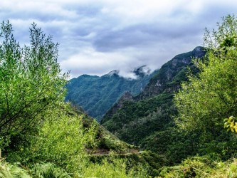 Urzal (hard) trail tour in Madeira Island