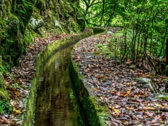 Urzal (hard) trail tour in Madeira Island