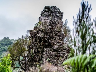 Urzal (hard) trail tour in Madeira Island