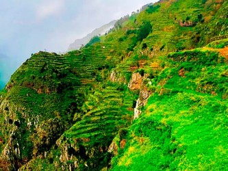 Vale da Serra D’Agua Walk Madeira