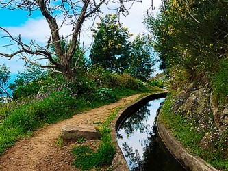 Vale da Serra D’Agua Walk Madeira