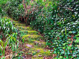 Vale Paraiso to Rochao Walk Madeira