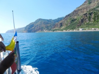 Whales & Dolphins Watching Tour from Calheta