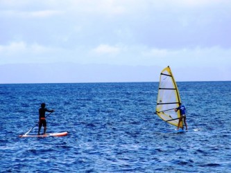 windsurf lessons tours in madeira island