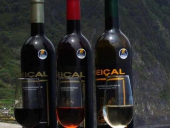 Wine & Poncha Tour in Madeira