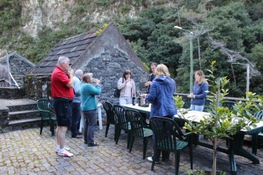 Wine & Poncha Tour in Madeira