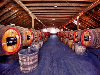 Premium Lodge Tour Madeira Wine Tasting Blandy