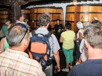 Vintage Tour Madeira Wine Tasting Blandy