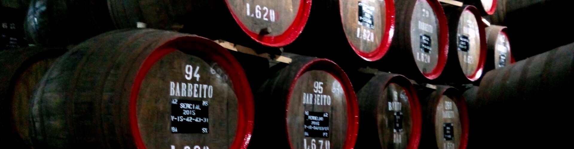 Tinta Negra Wine Tour in Madeira