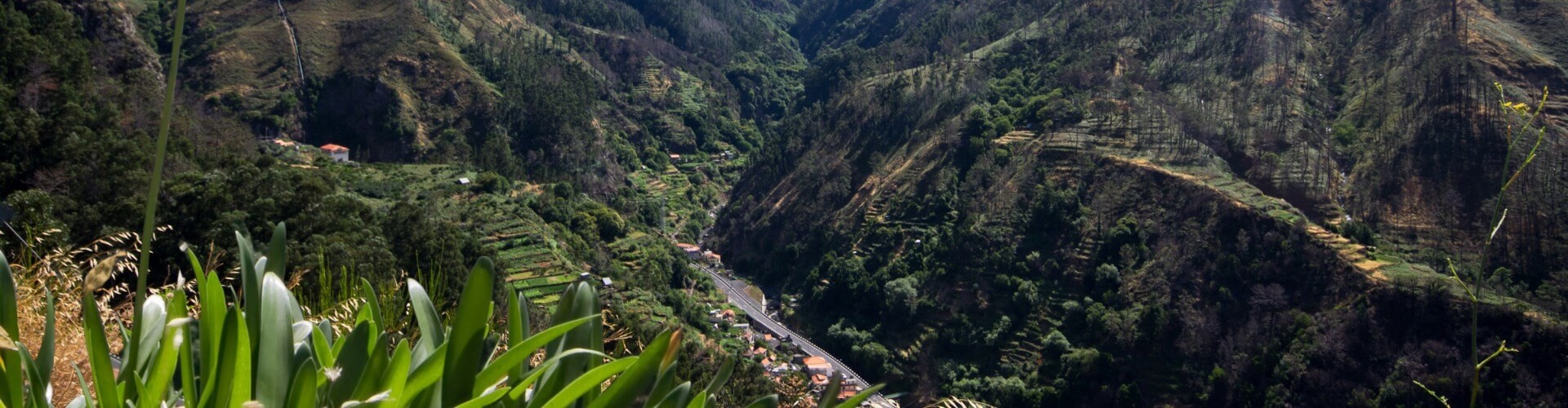 Vale da Serra D’Agua Walk Madeira